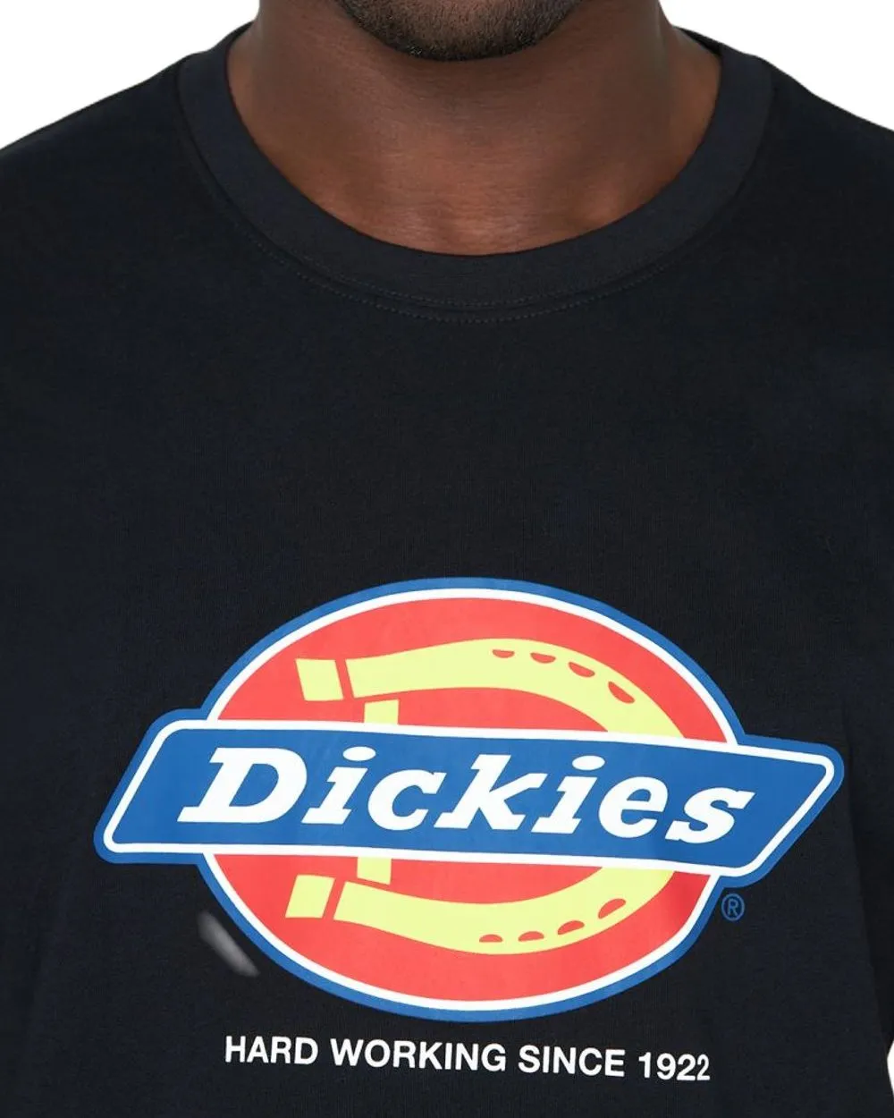 Dickies Denison T-shirt