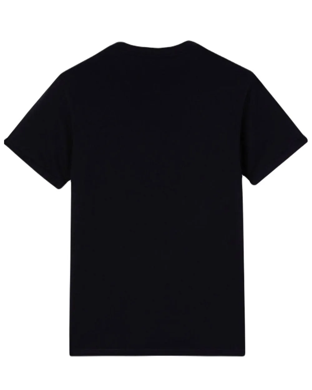 Dickies Denison T-shirt